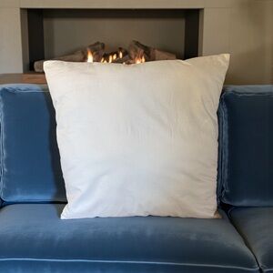 Pottery Barn 2 Pillow Inserts Size 20x20